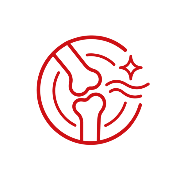 Entzündungshemmer & Analgetika