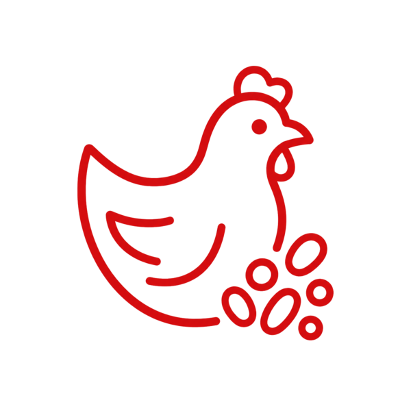 Kokzidiostatika